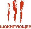 Shokiruyushchee kanal logosu