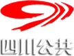 Sichuan TV Public Channel kanal logosu