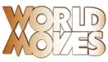 Sky Net World Movies kanal loqosu