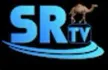 Somali Region TV kanal logosu