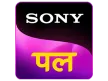 Sony Pal kanal logosu