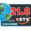 STV 21.8 kanal logosu