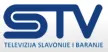 Senderlogo von STV