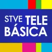 Senderlogo von STVE Telebasica