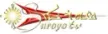 Suroyo TV channel logo
