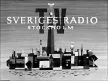 Sveriges Radio TV kanal logosu
