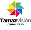 Tamazvision kanal logosu
