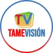 TameVision kanal logosu