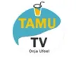 Tamu TV kanal logosu