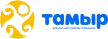 Tamyr kanal logosu