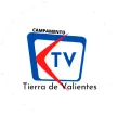 TDV TV kanal logosu