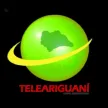 Tele Ariguani kanal logosu
