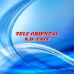 Tele Oriental kanal logosu