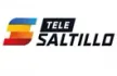 Tele Saltillo kanal logosu
