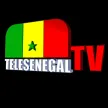 Tele Senegal TV kanal loqosu