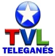 Teleganes kanal logosu