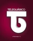 Teleguarico kanal logosu