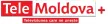 Senderlogo von TeleMoldova +