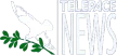 Telepace News kanal logosu