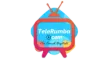Telerumba TV kanal logosu