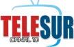 Telesur Canal 10 kanal logosu