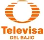 Televisa Del Bajio kanal logosu