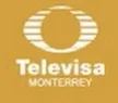 Televisa Monterrey kanal logosu
