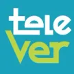 Televisa Veracruz kanal logosu