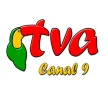 Television Amazonica Canal 9 kanal logosu