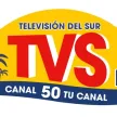 Television del Sur kanal logosu
