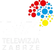 Telewizja Zabrze kanal logosu