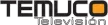 Temuco Television kanal logosu