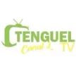 Tenguel TV Canal 2 kanal logosu