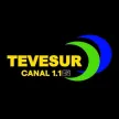 Tevesur kanal logosu