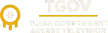 TGOV kanal logosu
