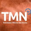 TMN TV kanal logosu