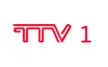 Tonghua TV kanal logosu