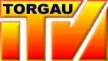 Torgau-TV kanal logosu