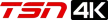 TSN 4K kanal logosu