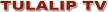 Tulalip TV kanal logosu