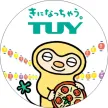 TUY 6 Ch YouTube kanal logosu