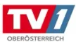 TV 1 Oberosterreich kanal loqosu