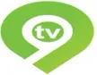 TV 9 Ethio kanal logosu