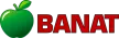TV Banat kanal logosu