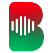TV Bozsike Hamburg HD kanal logosu