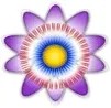 Senderlogo von TV Camara