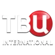 TV Centr International kanal logosu