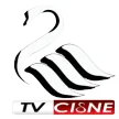 TV Cisne kanal logosu