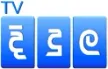 TV Didula channel logo