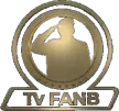 TV FANB kanal logosu